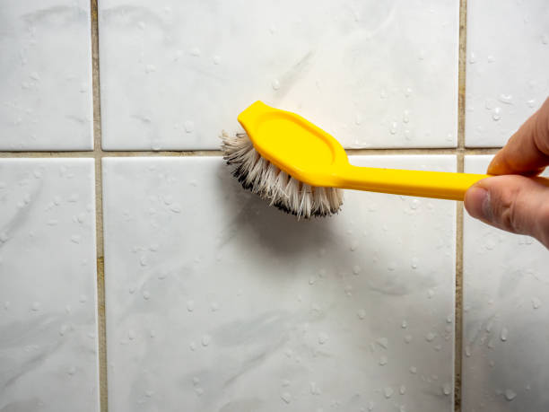 Best Residential Mold Remediation in Orange, VA