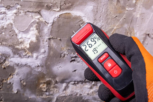 Best Health and Safety Mold Remediation in Orange, VA