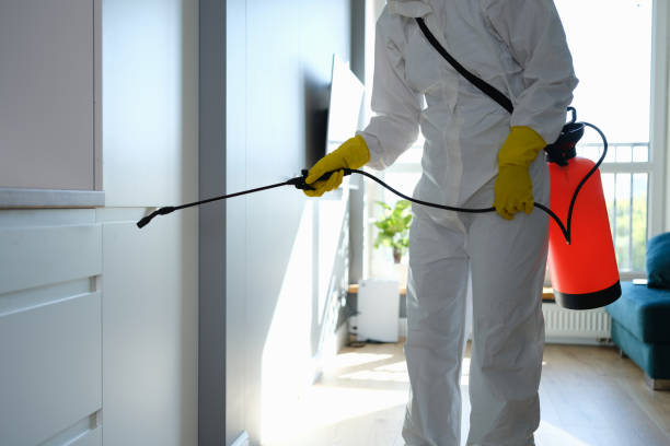 Best Emergency Mold Remediation in Orange, VA