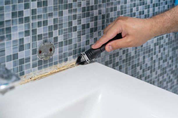 Orange, VA Mold Remediation Company
