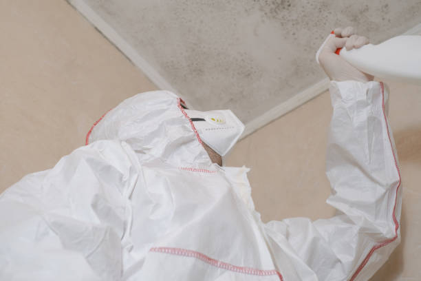 Best Residential Mold Remediation in Orange, VA